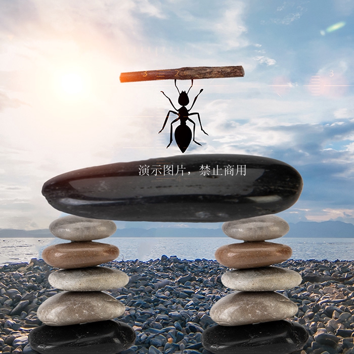 藍(lán)鯨自然健康（深圳）有限公司