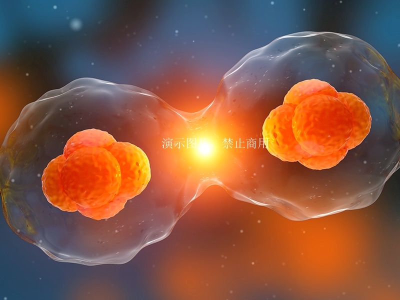 細(xì)胞鑒別檢測